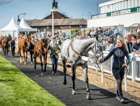 The Grand National